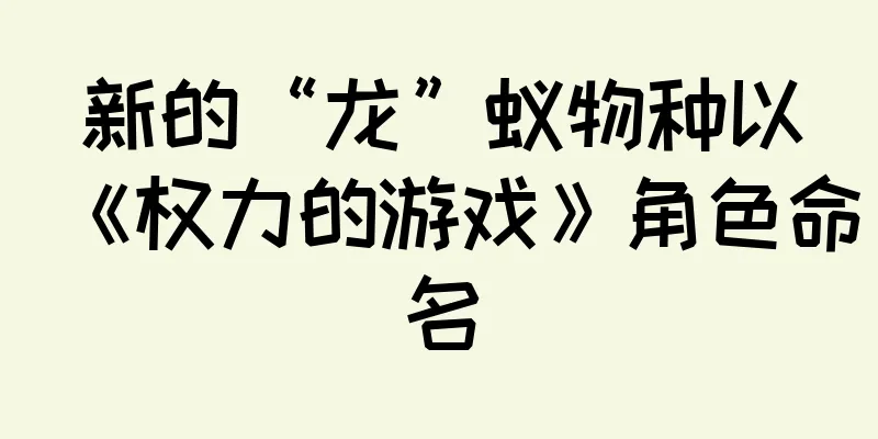 新的“龙”蚁物种以《权力的游戏》角色命名