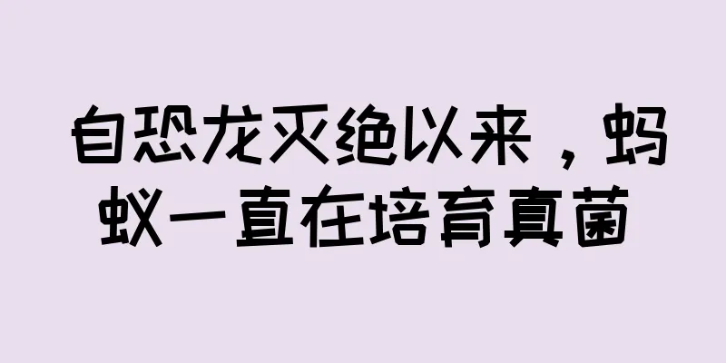 自恐龙灭绝以来，蚂蚁一直在培育真菌