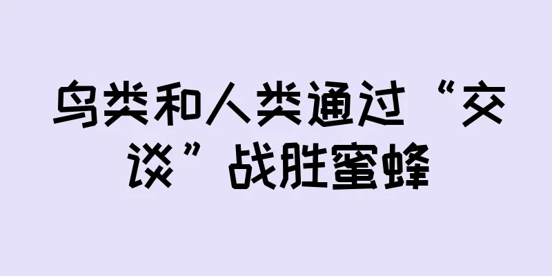 鸟类和人类通过“交谈”战胜蜜蜂