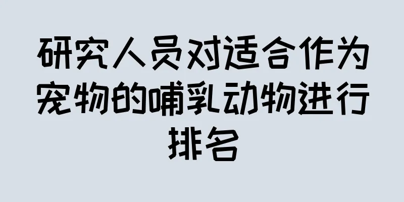 研究人员对适合作为宠物的哺乳动物进行排名