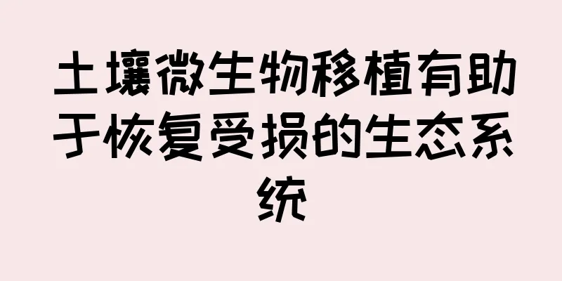 土壤微生物移植有助于恢复受损的生态系统