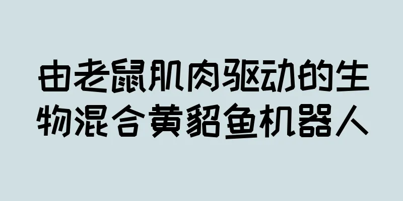 由老鼠肌肉驱动的生物混合黄貂鱼机器人