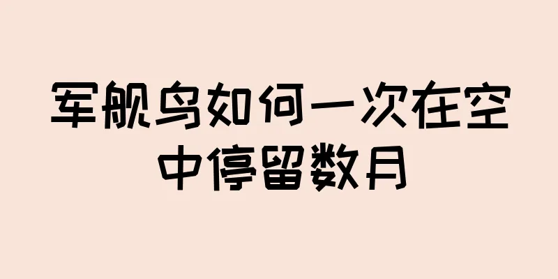 军舰鸟如何一次在空中停留数月
