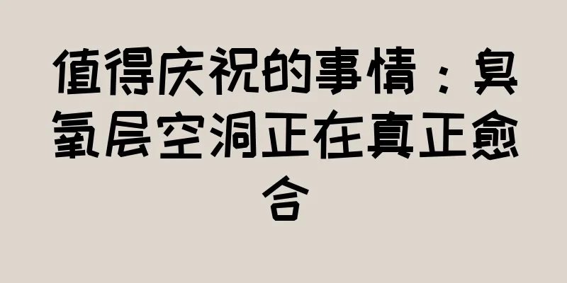 值得庆祝的事情：臭氧层空洞正在真正愈合