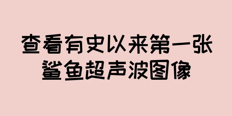 查看有史以来第一张鲨鱼超声波图像