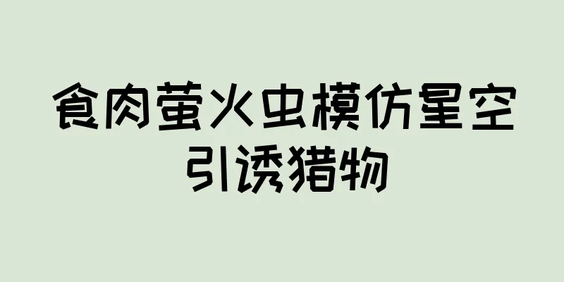 食肉萤火虫模仿星空引诱猎物
