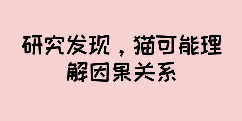 研究发现，猫可能理解因果关系
