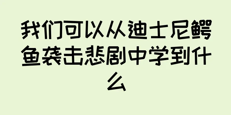 我们可以从迪士尼鳄鱼袭击悲剧中学到什么