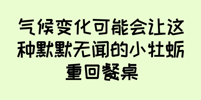 气候变化可能会让这种默默无闻的小牡蛎重回餐桌