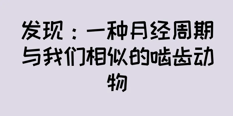 发现：一种月经周期与我们相似的啮齿动物