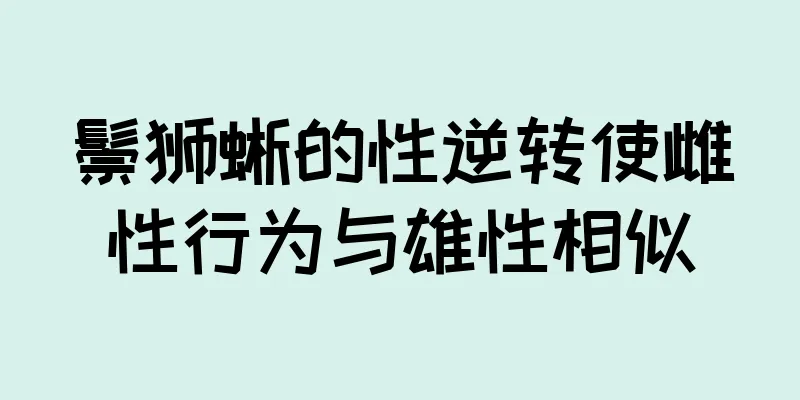 鬃狮蜥的性逆转使雌性行为与雄性相似