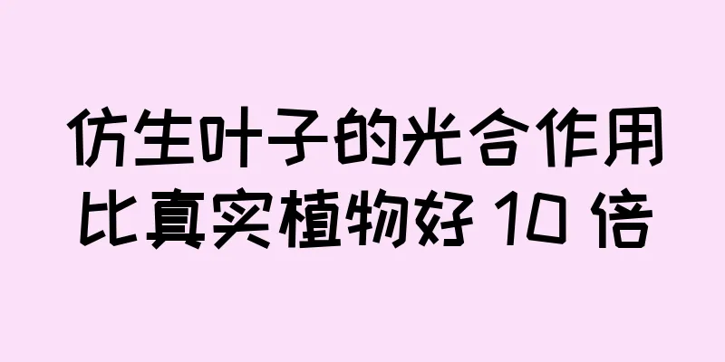 仿生叶子的光合作用比真实植物好 10 倍