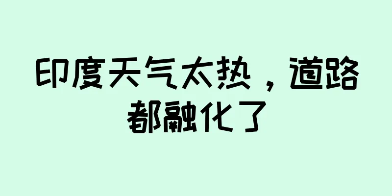 印度天气太热，道路都融化了