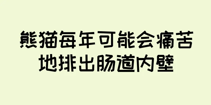 熊猫每年可能会痛苦地排出肠道内壁