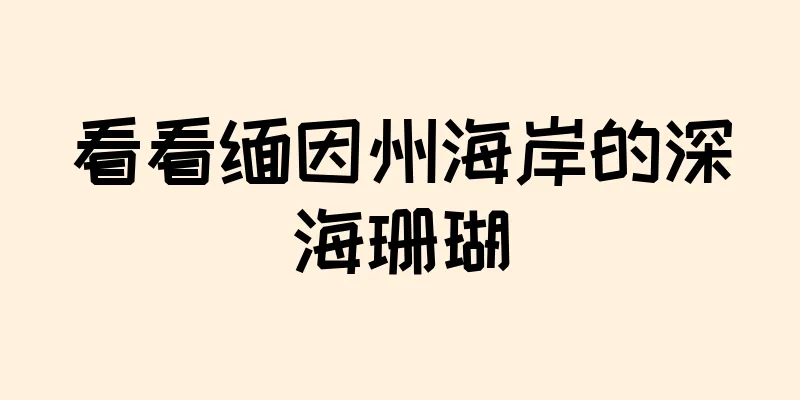 看看缅因州海岸的深海珊瑚
