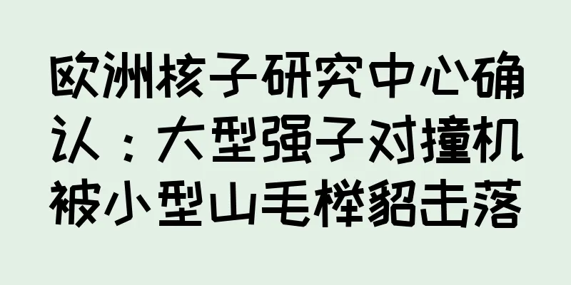 欧洲核子研究中心确认：大型强子对撞机被小型山毛榉貂击落