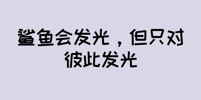 鲨鱼会发光，但只对彼此发光