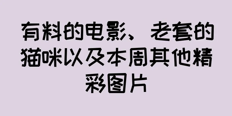 有料的电影、老套的猫咪以及本周其他精彩图片
