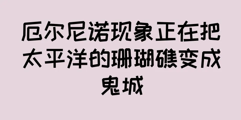 厄尔尼诺现象正在把太平洋的珊瑚礁变成鬼城