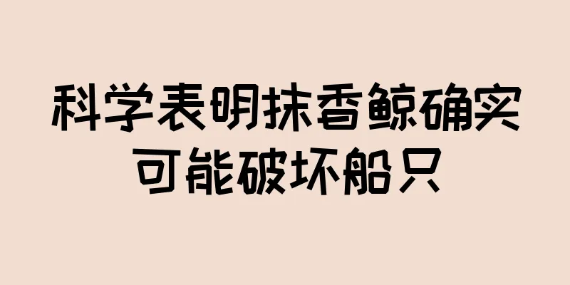 科学表明抹香鲸确实可能破坏船只