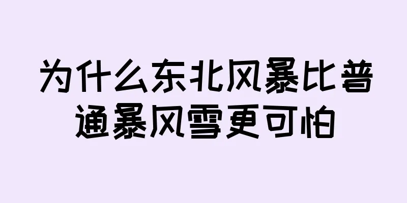 为什么东北风暴比普通暴风雪更可怕