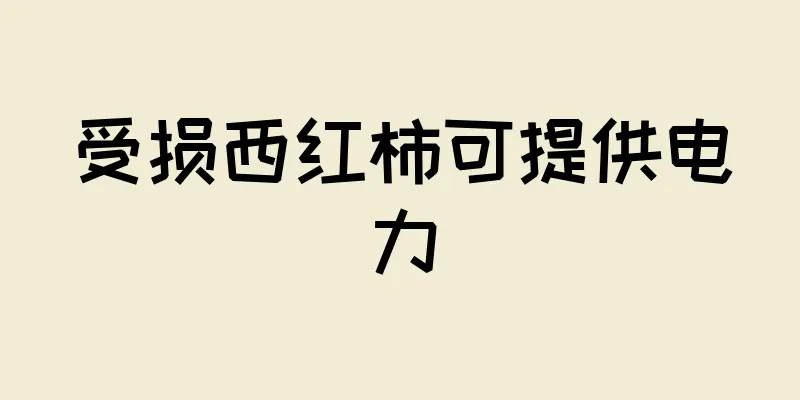 受损西红柿可提供电力