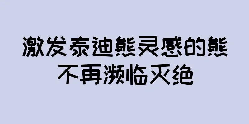 激发泰迪熊灵感的熊不再濒临灭绝