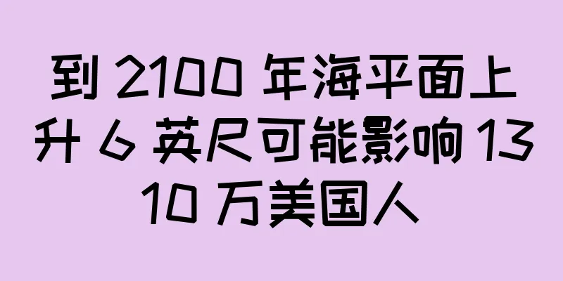 到 2100 年海平面上升 6 英尺可能影响 1310 万美国人