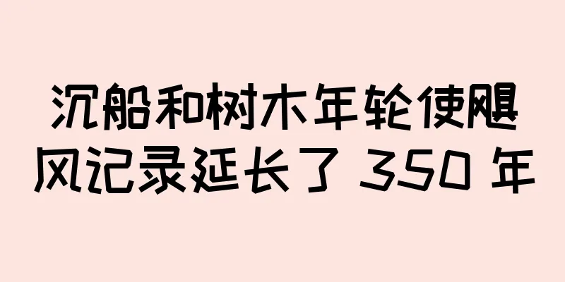 沉船和树木年轮使飓风记录延长了 350 年