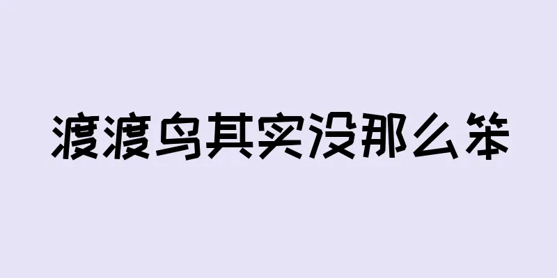 渡渡鸟其实没那么笨