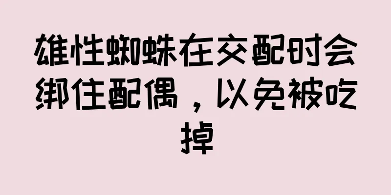 雄性蜘蛛在交配时会绑住配偶，以免被吃掉