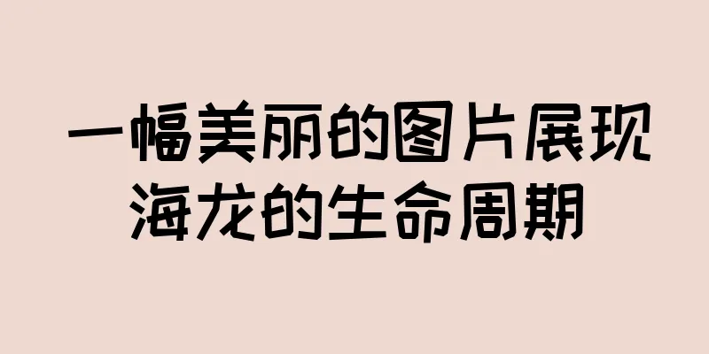 一幅美丽的图片展现海龙的生命周期