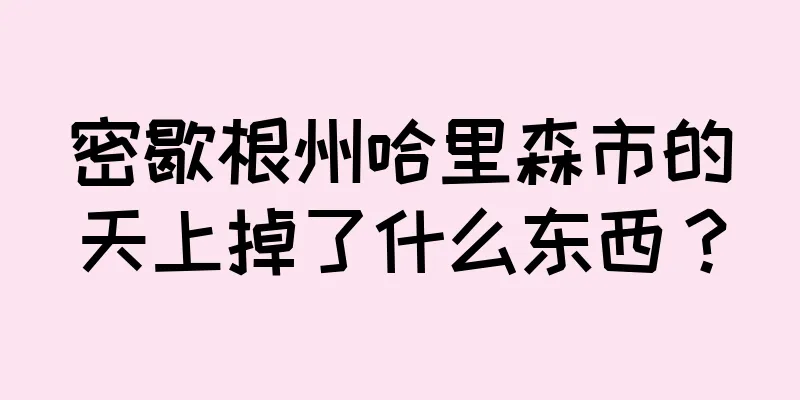 密歇根州哈里森市的天上掉了什么东西？
