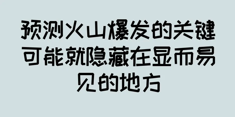 预测火山爆发的关键可能就隐藏在显而易见的地方