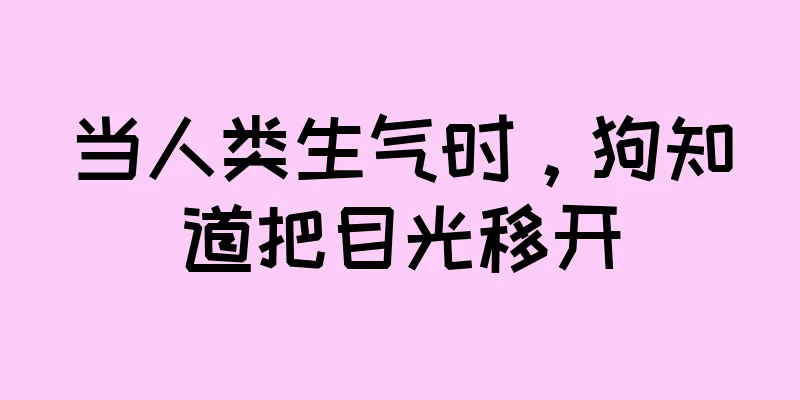 当人类生气时，狗知道把目光移开