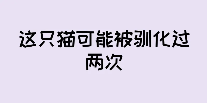 这只猫可能被驯化过两次