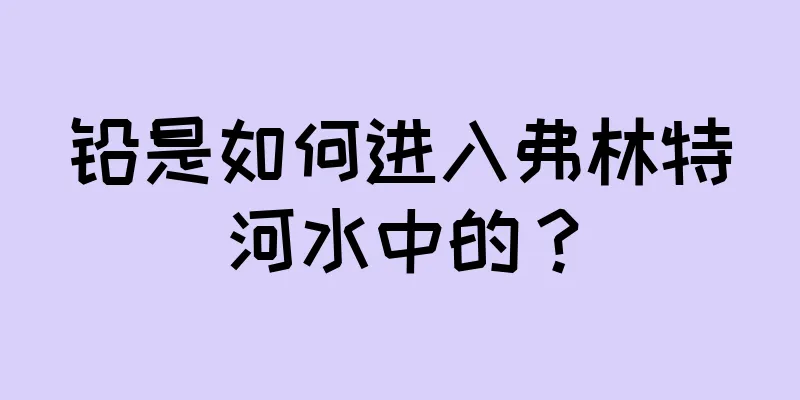 铅是如何进入弗林特河水中的？