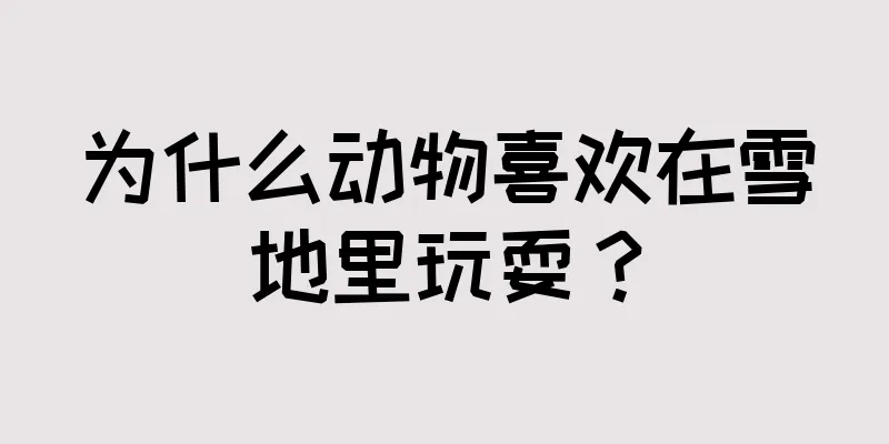 为什么动物喜欢在雪地里玩耍？