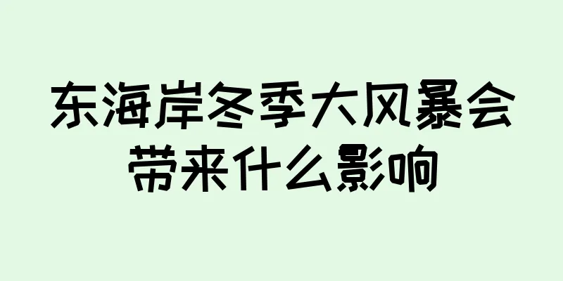 东海岸冬季大风暴会带来什么影响