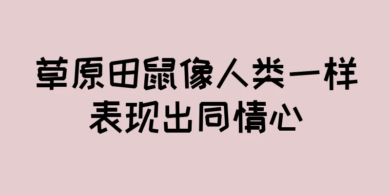 草原田鼠像人类一样表现出同情心