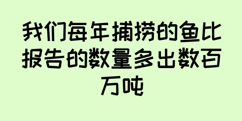 我们每年捕捞的鱼比报告的数量多出数百万吨