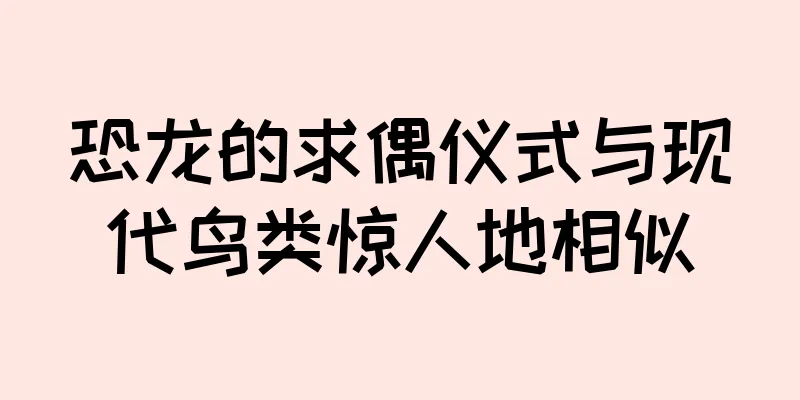 恐龙的求偶仪式与现代鸟类惊人地相似