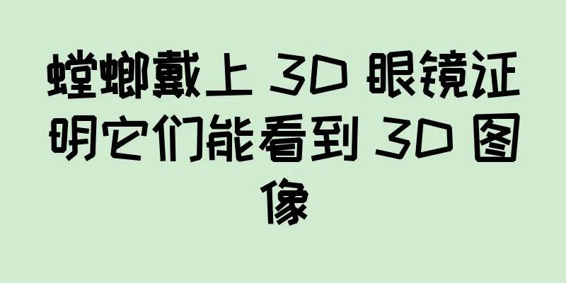 螳螂戴上 3D 眼镜证明它们能看到 3D 图像