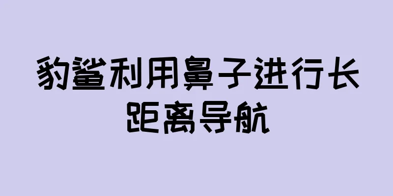 豹鲨利用鼻子进行长距离导航
