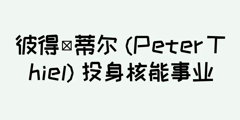 彼得·蒂尔 (Peter Thiel) 投身核能事业