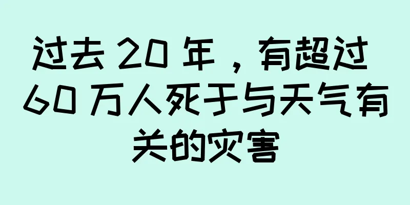 过去 20 年，有超过 60 万人死于与天气有关的灾害