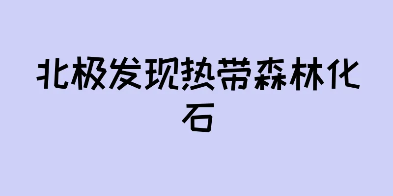 北极发现热带森林化石