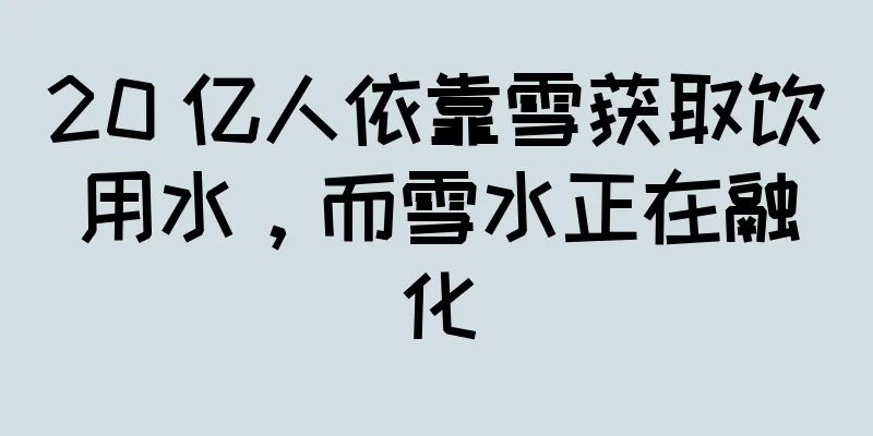 20 亿人依靠雪获取饮用水，而雪水正在融化