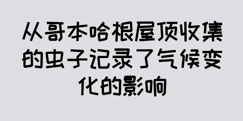 从哥本哈根屋顶收集的虫子记录了气候变化的影响