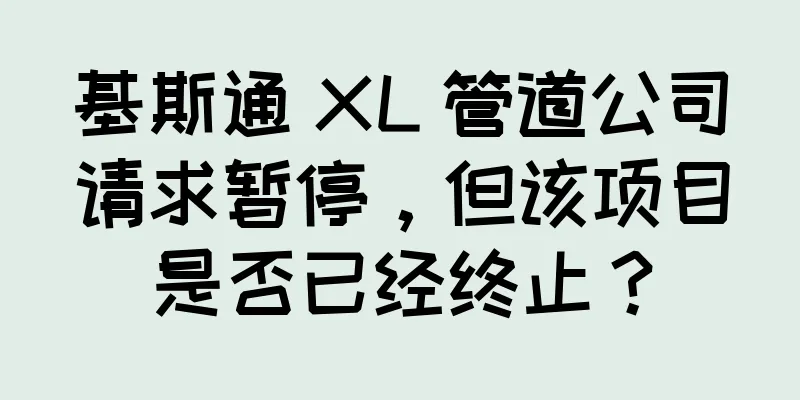 基斯通 XL 管道公司请求暂停，但该项目是否已经终止？